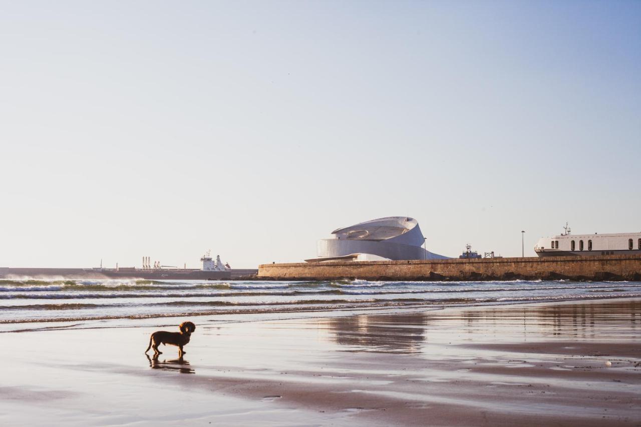 Oceanside Matosinhos - Ecohost Apartment ภายนอก รูปภาพ